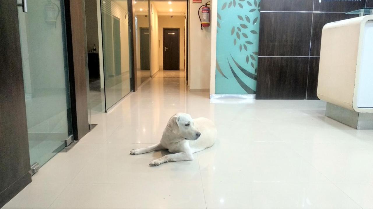 Sai Srushti By Neem Square Hotel Shirdi Bagian luar foto